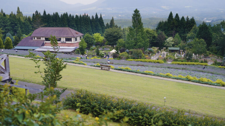 蒜山高原の広大な庭園とラベンダー畑の全景（東大阪からアクセス可能な自然観光地）
